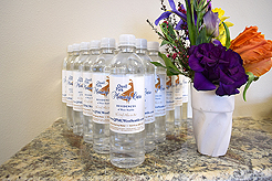 QUAIL PARK WEST SEATTLE BRUNCH